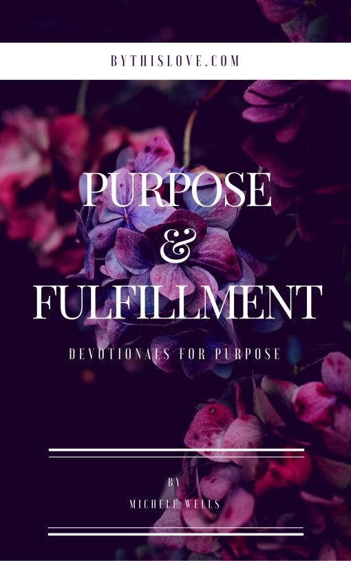 The Purpose & Fulfillment Devotional - Image 2