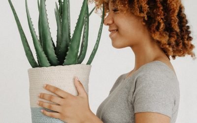 Home 2 Seeing the Fulfilment of God’s Promise